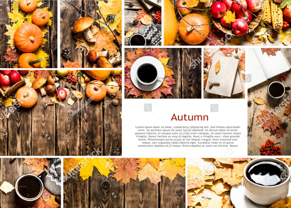 Food Collage Autumn Photos