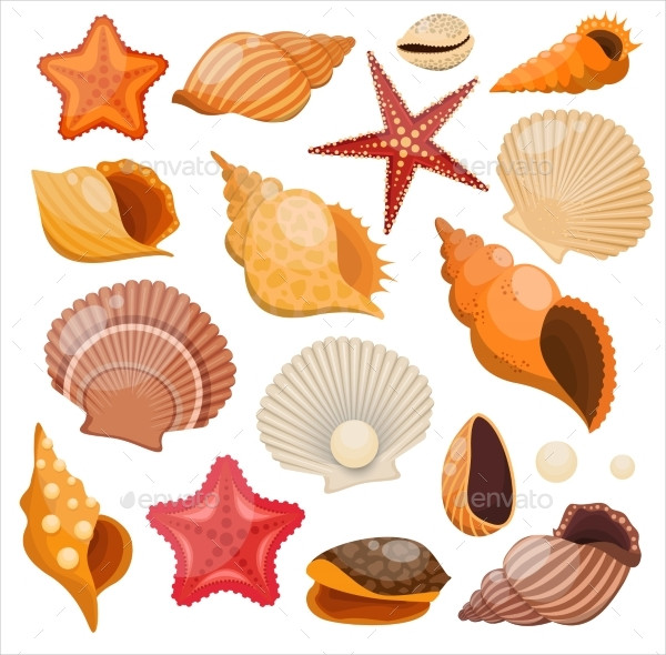 Shells And Sea Stars Icon Set