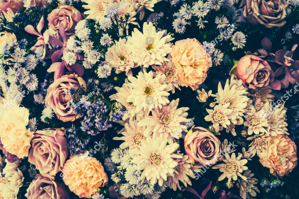 Vintage Old Flower Backgrounds