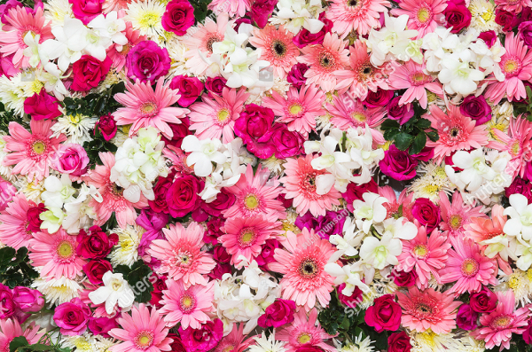 Beautiful Flower Backgrounds For Wedding Scene