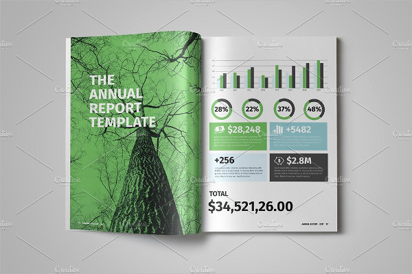 Annual Finance Report Template