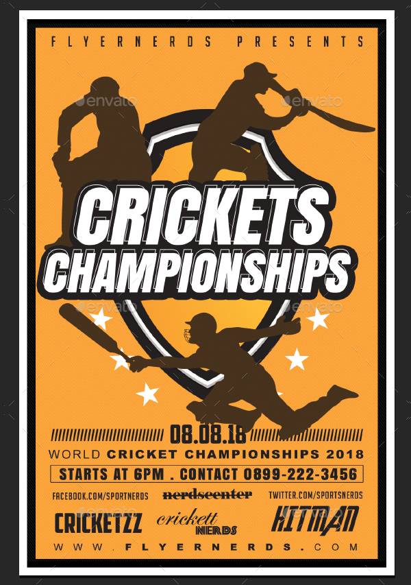 Beautiful Cricket Flyer Template