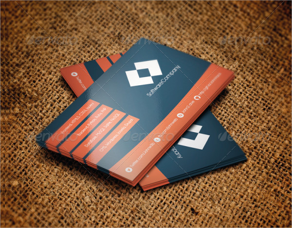 Developer Web Business Card Design Template