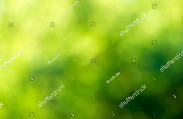 Green Blurred Background And Sunlight
