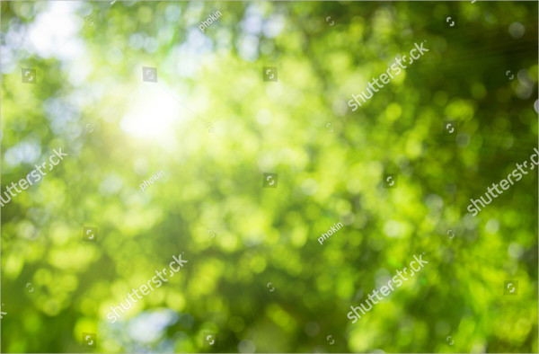 Natural Green Leaves White Background