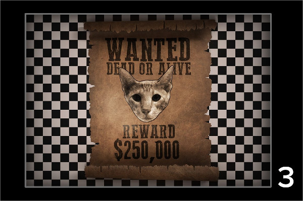 Old Western Wanted Poster Templates