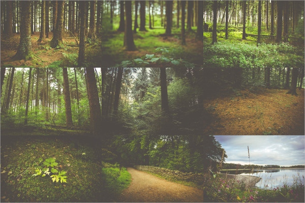 Retro Nature Forest Backgrounds