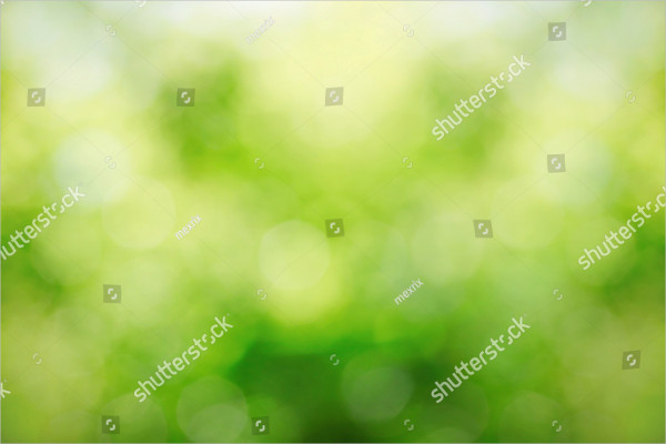 Sunny Abstract Green Nature Background