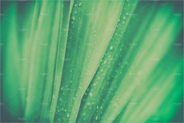 Vintage Nature Green Line Backgrounds