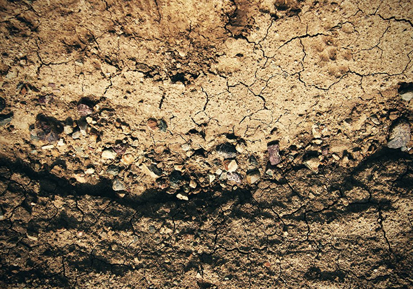 Abstract Dirt Texture
