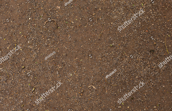 Dirt Floor Texture