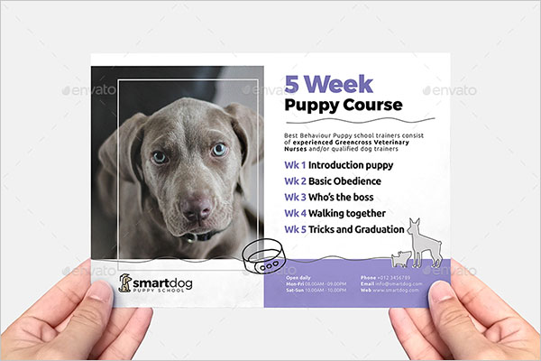 Puppy Dog Flyer Template