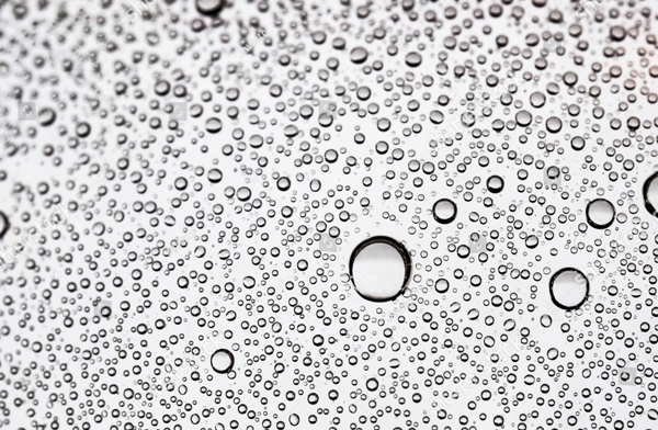 Water Bubbles on Transparent Background