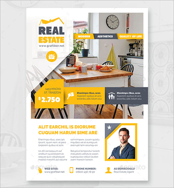 Professional Real Estate Flyer Templates