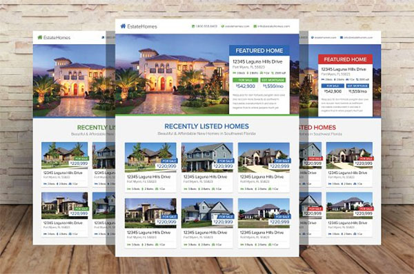 Real Estate Flyers Template