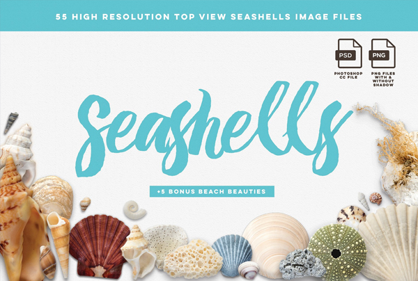 Beach Seashells Mockup Pack