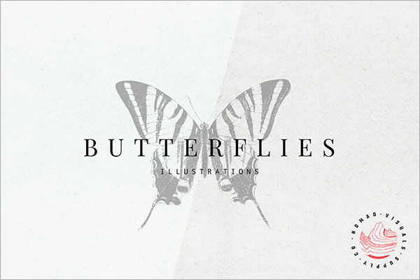 Premium Butterflies Illustrations