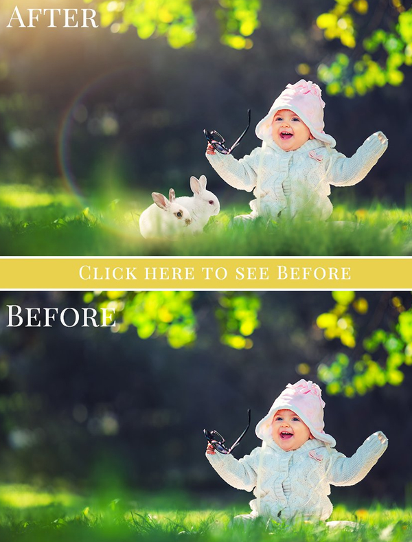 Spring Bunnies Photo Overlays