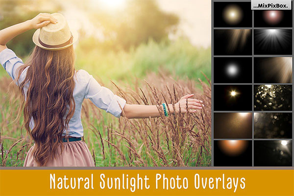 Natural Sunlight Photo Overlays