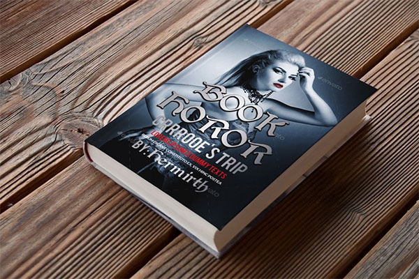 Novel PSD Book Cover Template