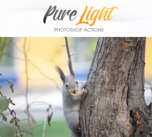 Pure Light Photoshop Actions