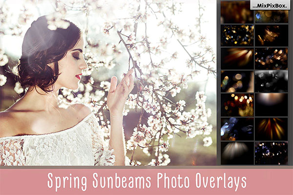 Spring Sunbeams Photo Overlays