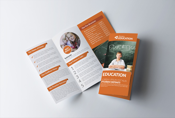 Kids Education Trifold Brochures