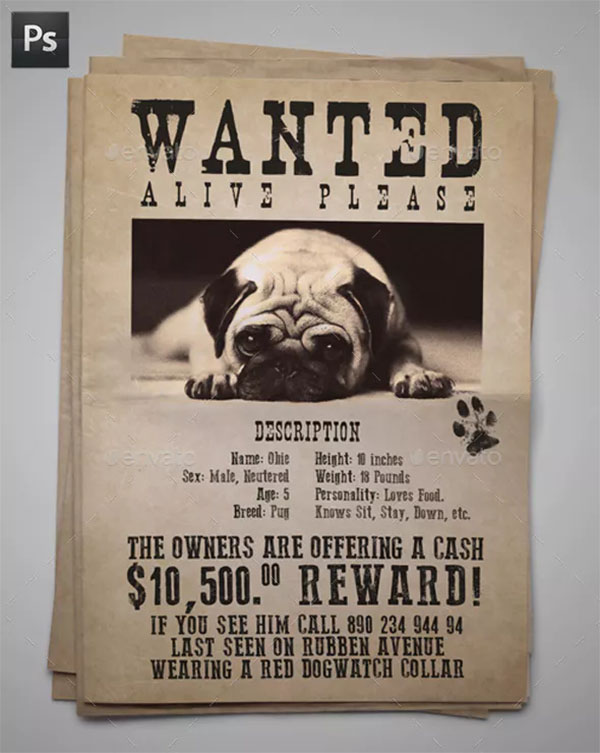 Wanted Lost Dog Flyer