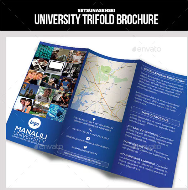 University Trifold Brochure
