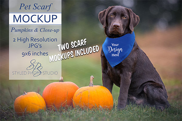 Download 47+ Scarf Mockups - Free & Premium Photoshop Vector Downloads