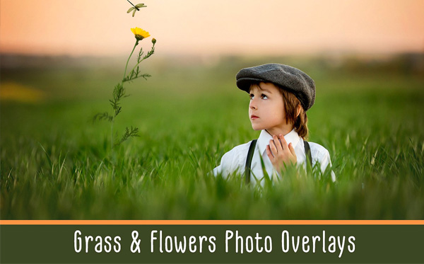 Grass & Flowers Photo Overlays