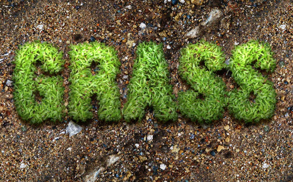 Photorealistic Grass Text Action