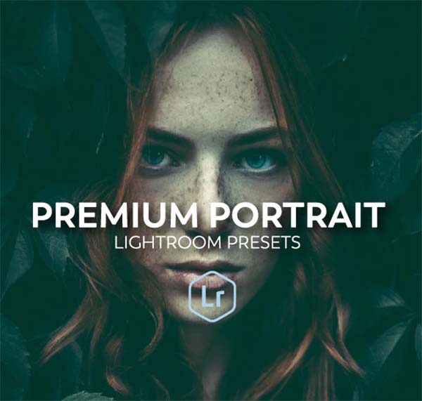 Portrait Lightroom Presets Workflow