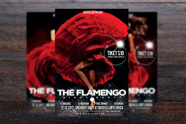 The Flamenco Night Party Flyer