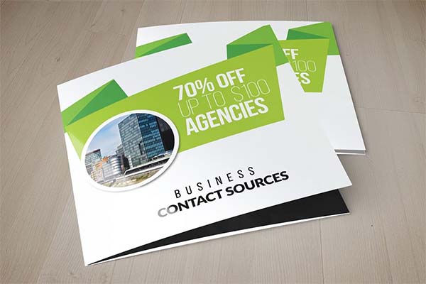 Business Solutions Consultant Trifold Brochure